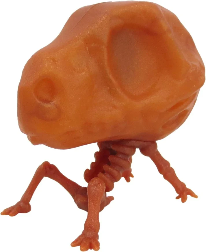 kham-pha-khai-quat-bonezalive-dong-lon-1