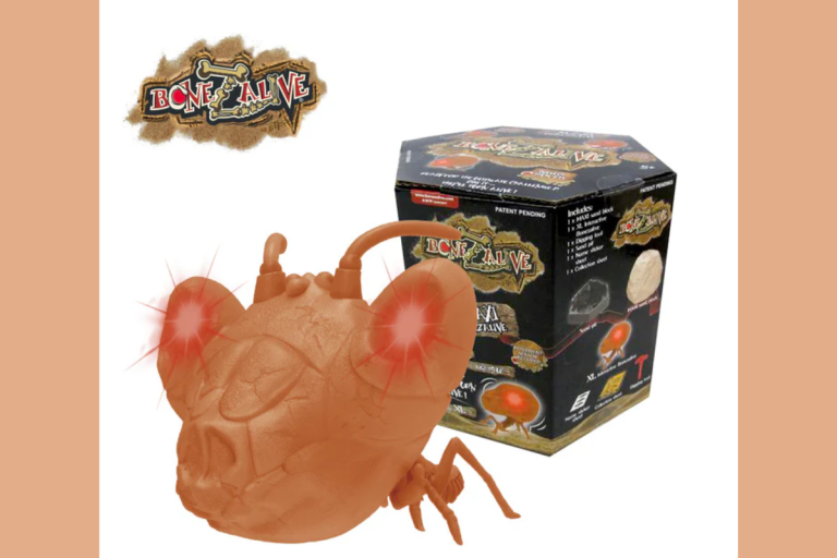 kham-pha-khai-quat-bonezalive-dong-lon